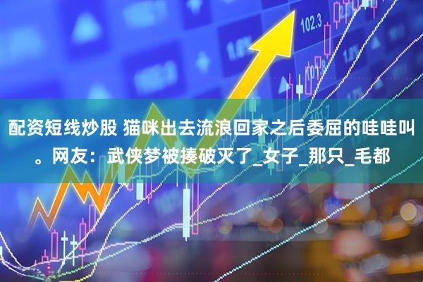 配资短线炒股 猫咪出去流浪回家之后委屈的哇哇叫。网友：武侠梦被揍破灭了_女子_那只_毛都