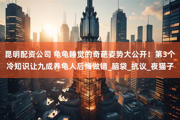 昆明配资公司 龟龟睡觉的奇葩姿势大公开！第3个冷知识让九成养龟人后悔做错_脑袋_抗议_夜猫子