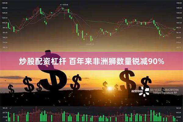炒股配资杠杆 百年来非洲狮数量锐减90%