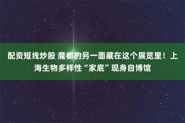 配资短线炒股 魔都的另一面藏在这个展览里！上海生物多样性“家底”现身自博馆