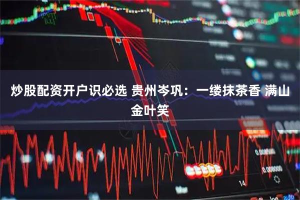 炒股配资开户识必选 贵州岑巩：一缕抹茶香 满山金叶笑